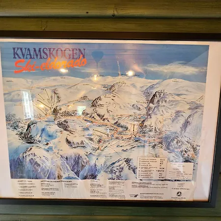 Dom wakacyjny Inn/ski Out Kvamskogen *